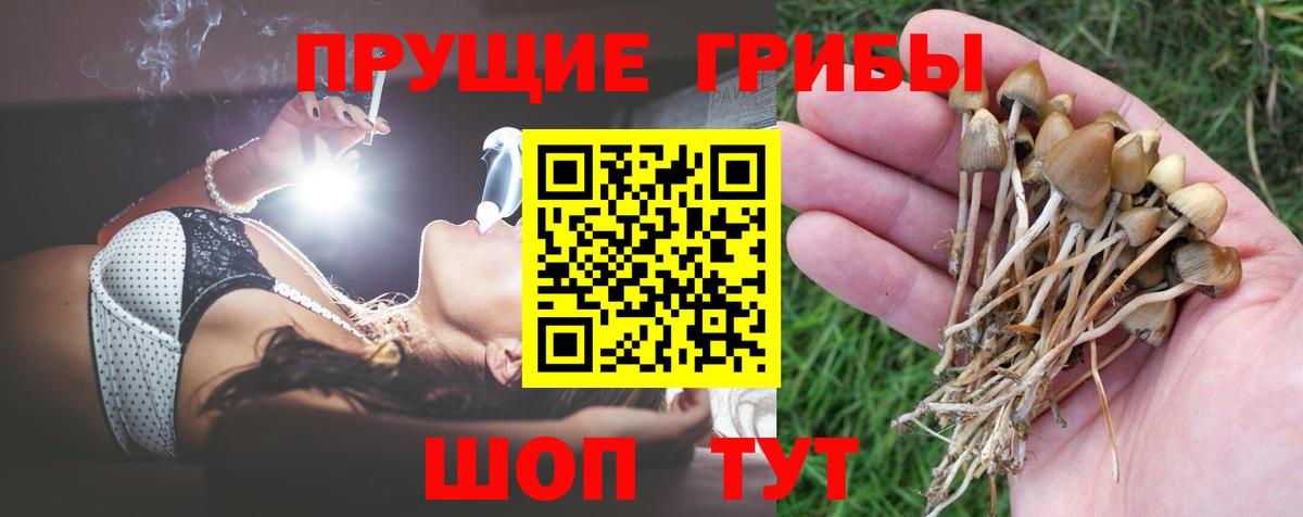 Псилоцибиновые грибы мицелий Чехов