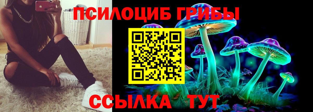 Чехов  Псилоцибиновые грибы GOLDEN TEACHER  Вход с VPN 